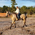 Worth the Dime? or NOT!